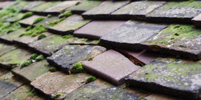 Edlesborough roof repair costs